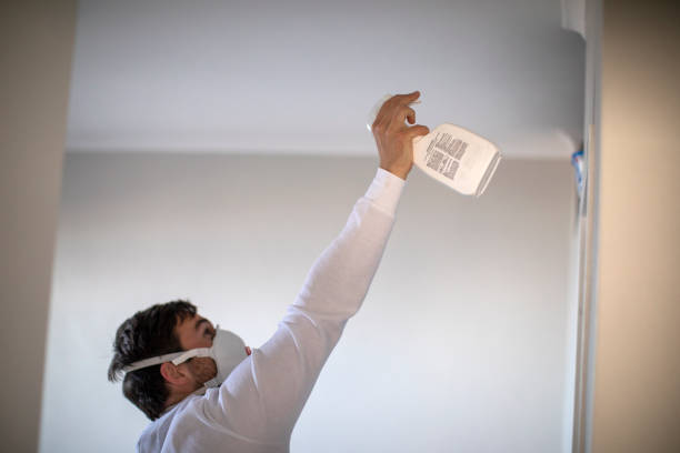 Best Mold Remediation Services  in Mead, WA