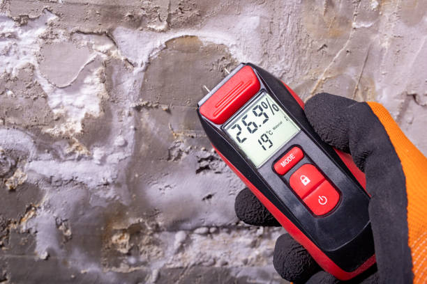 Best Emergency Mold Removal  in Mead, WA