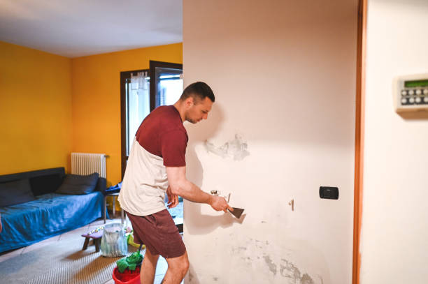 Best Local Mold Removal Service  in Mead, WA